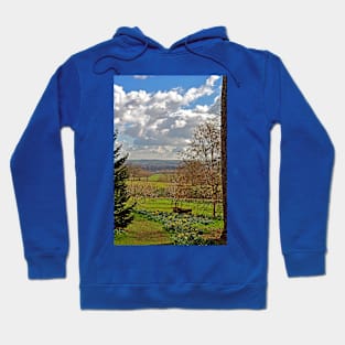 Batsford Arboretum Moreton In Marsh Cotswolds UK Hoodie